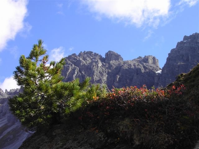 Photograph