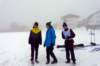 p1110741kopie_small.jpg