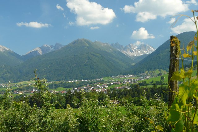 Photograph