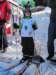 img_0005_small.jpg