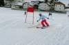 p1140896_bearbeitet1_small.jpg
