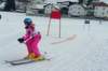 p1140898_bearbeitet1_small.jpg