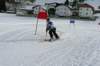 p1140903_bearbeitet1_small.jpg