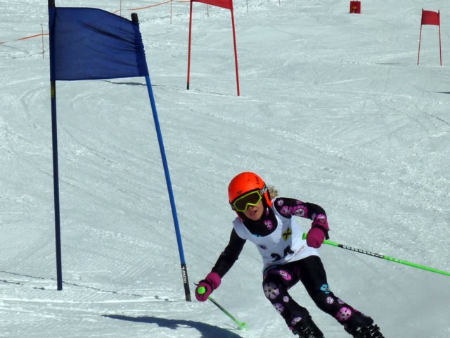 p1060677.jpg