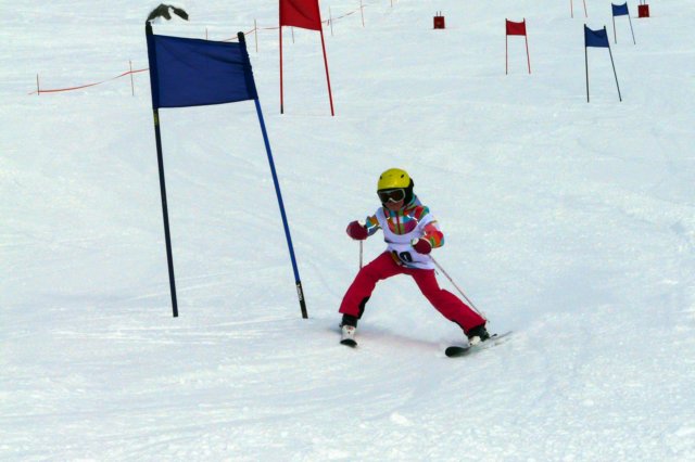 p1170442.jpg