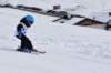 dsc_0401_small.jpg