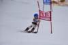 dsc_0526_small.jpg