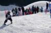 dsc06276_small.jpg