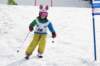 dsc06329_small.jpg