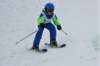 dsc06386_small.jpg