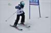 dsc06458_small.jpg