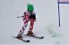 dsc06463_small.jpg