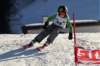 dsc00187_small.jpg