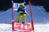 dsc00213_small.jpg