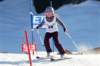 dsc00260_small.jpg