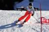 dsc002882_small.jpg