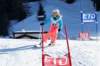 dsc00291_small.jpg