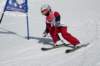 dsc00374ba_small.jpg