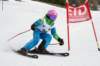 dsc00743ba_small.jpg