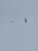 img20240217wa0002_small.jpg