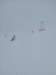 img20240217wa0003_small.jpg