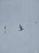img20240217wa0004_small.jpg