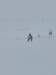 img20240217wa0010_small.jpg
