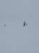 img20240217wa0019_small.jpg