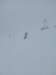 img20240217wa0028_small.jpg