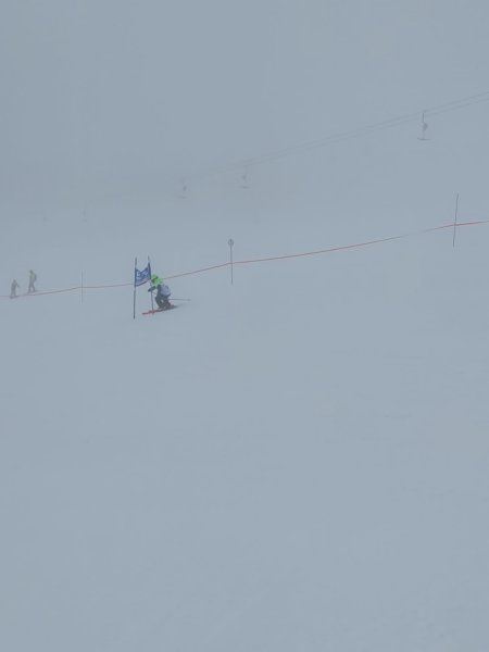 img20240217wa0030.jpg