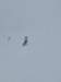 img20240217wa0031_small.jpg