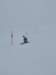 img20240217wa0039_small.jpg
