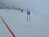img20240218wa0026_small.jpg