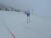img20240218wa0109_small.jpg