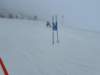 img20240218wa0115_small.jpg
