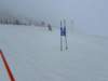 img20240218wa0117_small.jpg