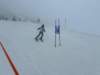 img20240218wa0127_small.jpg