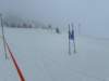 img20240218wa0128_small.jpg