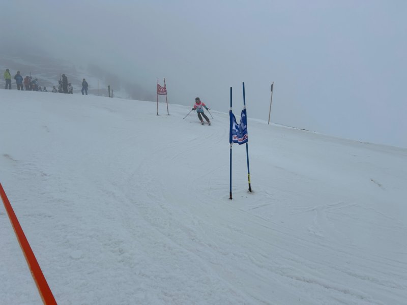 img20240218wa0135.jpg