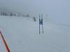 img20240218wa0135_small.jpg