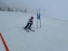 img20240218wa0142_small.jpg