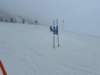 img20240218wa0144_small.jpg
