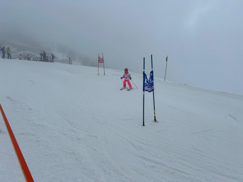img20240218wa0147.jpg