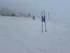 img20240218wa0151_small.jpg