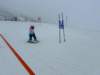 img20240218wa0153_small.jpg
