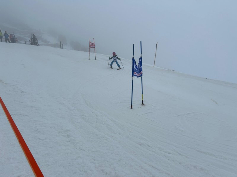 img20240218wa0161.jpg