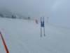 img20240218wa0163_small.jpg