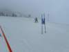img20240218wa0165_small.jpg