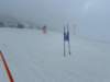 img20240218wa0167_small.jpg