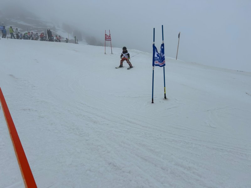 img20240218wa0173.jpg